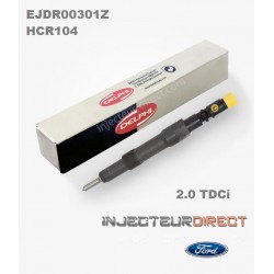 INJECTEUR DELPHI EJDR00301Z